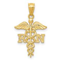 10k Yellow Gold Diamond-cut RN Registered Nurse Pendant, 24mm fine designer jewelry for men and women