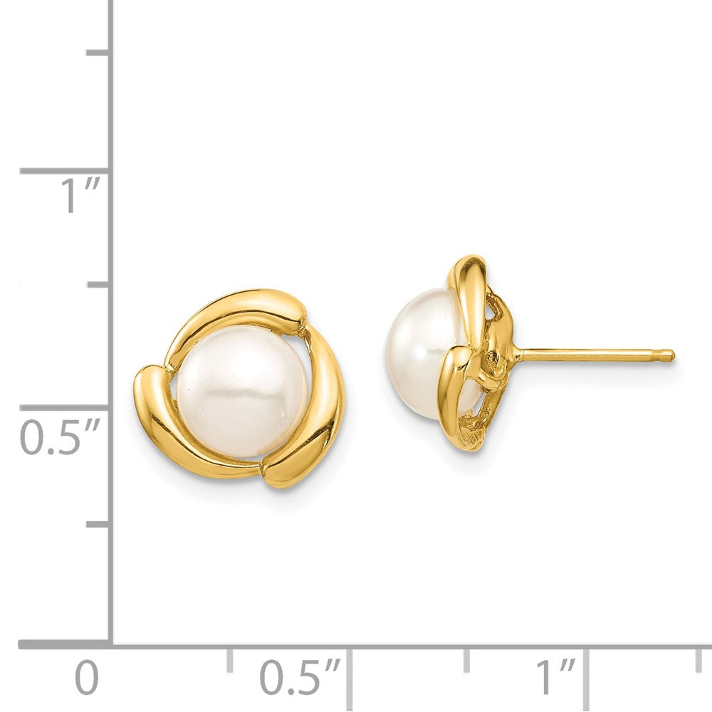 14k Real Yellow Gold White Button Freshwater Cultured Pearl Stud Earrings, 8mm