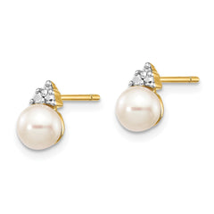 14k Yellow Gold 6mm Freshwater Pearl and 0.01ct Diamond Stud Earrings