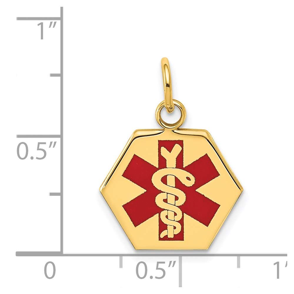 14k Yellow Gold Red Enamel Medical Hexagonal Disc Pendant, 20x15mm