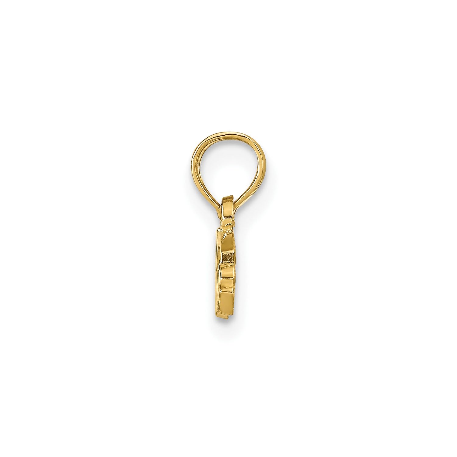 14k Yellow Gold Registered Nurse Pendant, 12x 2mm