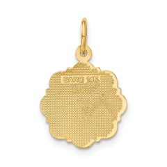 14k Yellow Gold RN Registered Nurse Disc Charm Pendant, 14mm