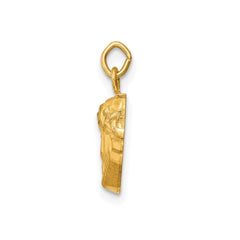 14k Real Yellow Gold Polished and Satin Jesus Medal Charm Pendant, 0.5"x0.5" fine designer jewelry for men and women