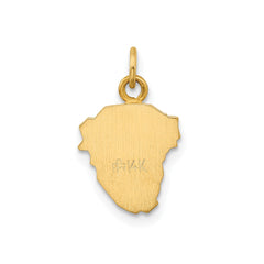 14k Real Yellow Gold Polished and Satin Jesus Medal Charm Pendant, 0.5"x0.5" fine designer jewelry for men and women